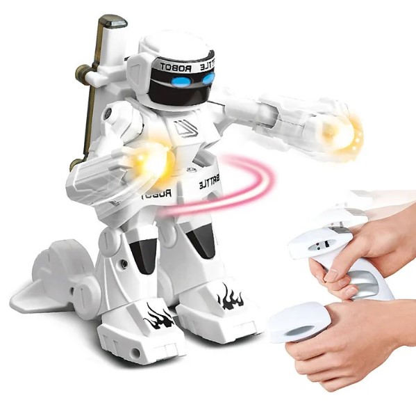 robot boxer